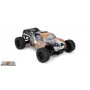 ECX Circuit Stadium Truck