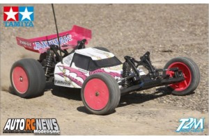 . Tamiya Zahhak DN01