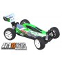 Mad Pirate Brushless T2M