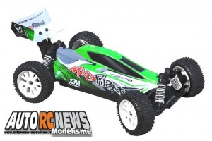 Mad Pirate Brushless T2M