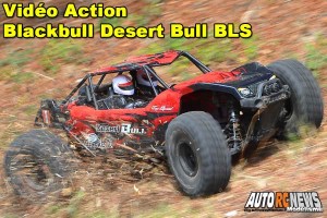 [Video] Blackbull Desert Bull 1/8 Brushless RTR