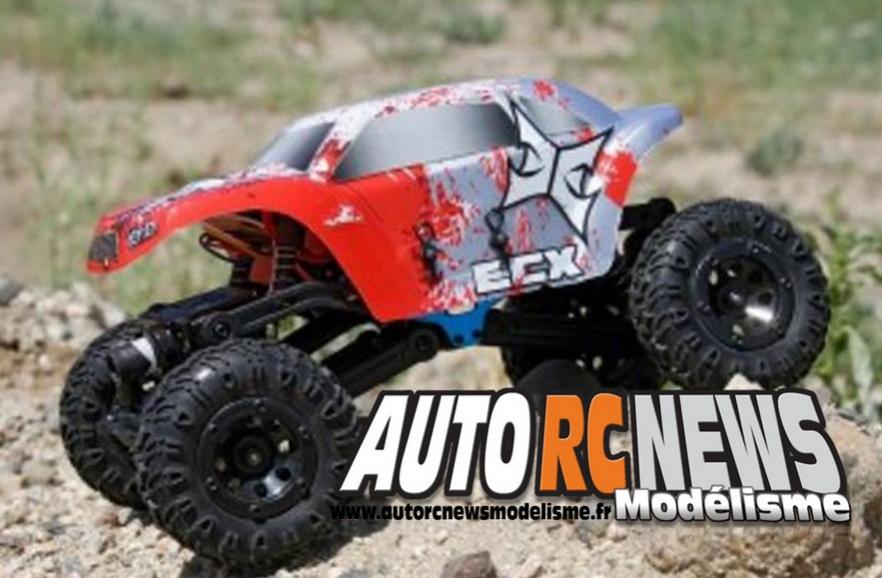 buggy ecx temper 1/24ème brushed 4 x 4 distribué par horizon hobby et par absolu modélisme