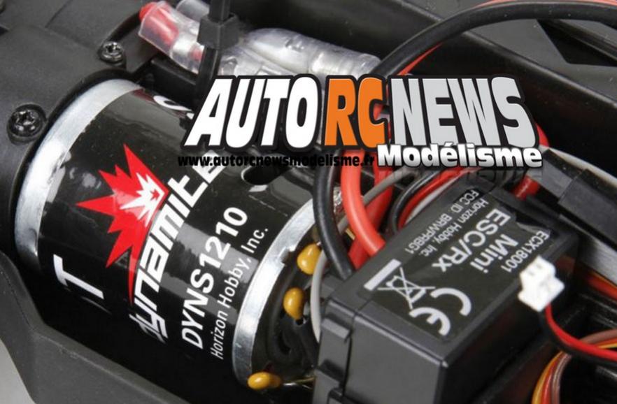 buggy ecx roost 1/18ème brushed 4 x 4 distribué par horizon hobby et par absolu modélisme