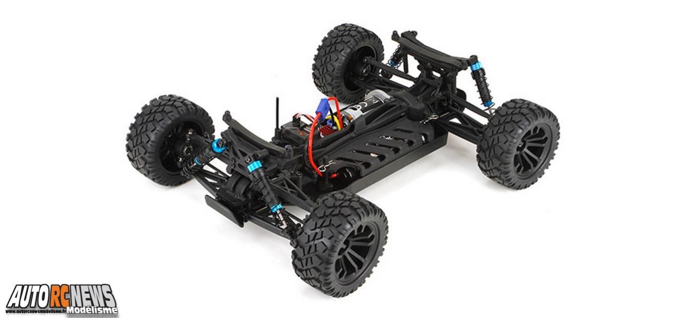 ECX Circuit Stadium Truck #ecx03011i