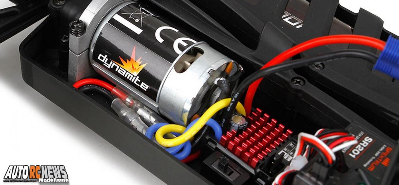ECX Circuit Stadium Truck #ecx03011i