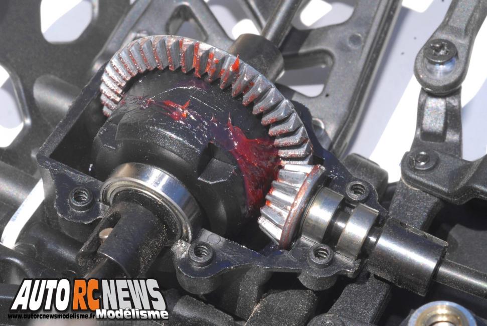 Pirate Razor Brushless T2M réf : T4910B
