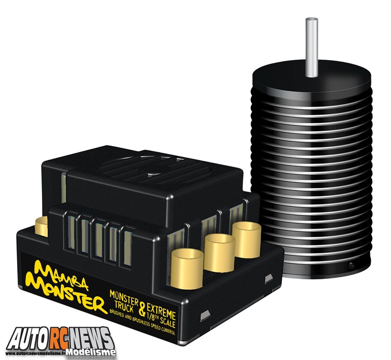 Comme l'indique clairement son intitulé, leTraxxas E-Revo 4x4 1/10 Brushless - Lipo - Telemétrie - 1/10ème électrique dispose d'une télémetrie embarquée à son bord.