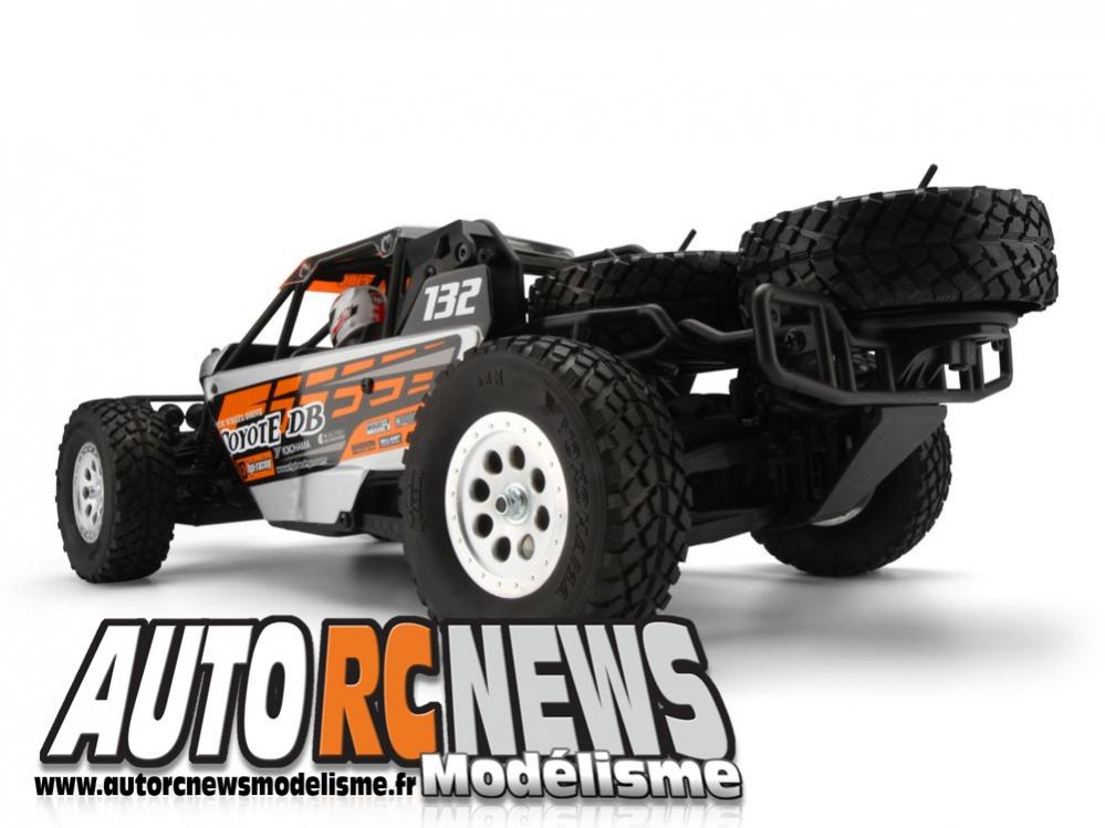 Chez HPI, le Coyote Desert Buggy RTR est également disponible dans la gamme des engins équipés d'un arceau cage.